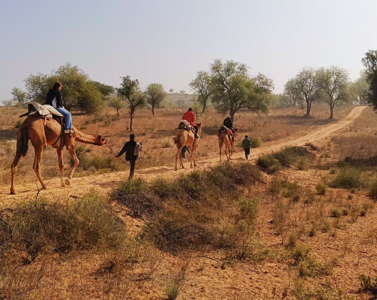 jaisalmer camel safari price